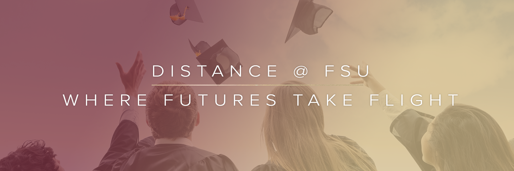 Distance at FSU - where futures take flight